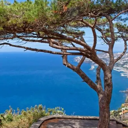 Berco Funchal (Madeira)